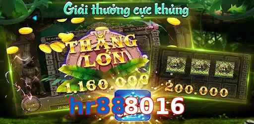 hr888016